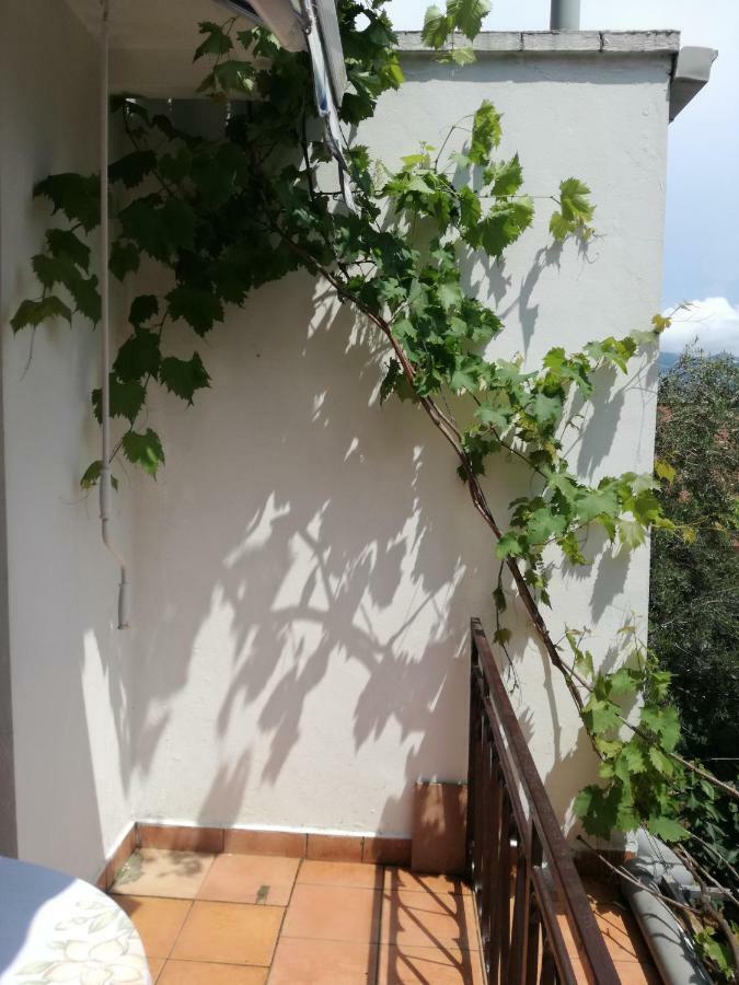 Guest House Vila Bak Budva Zewnętrze zdjęcie