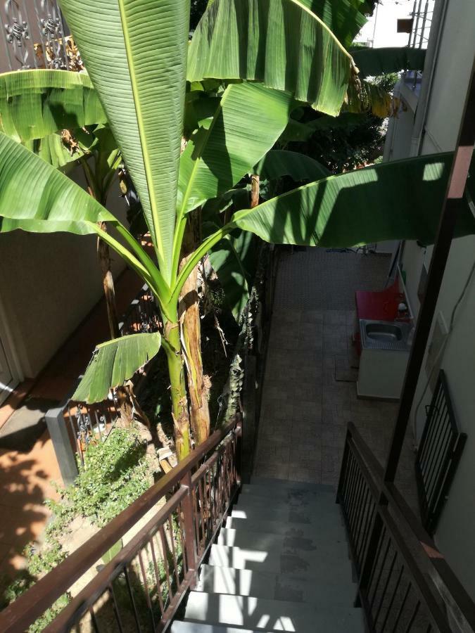 Guest House Vila Bak Budva Zewnętrze zdjęcie