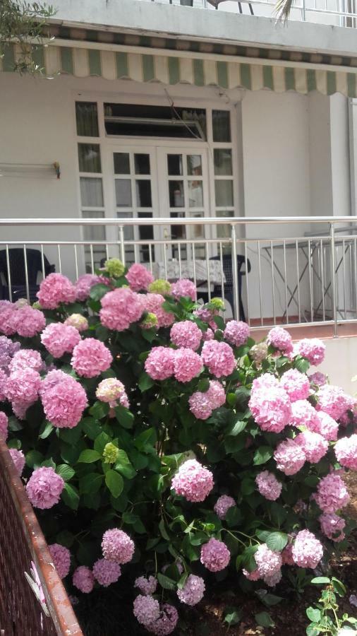 Guest House Vila Bak Budva Zewnętrze zdjęcie